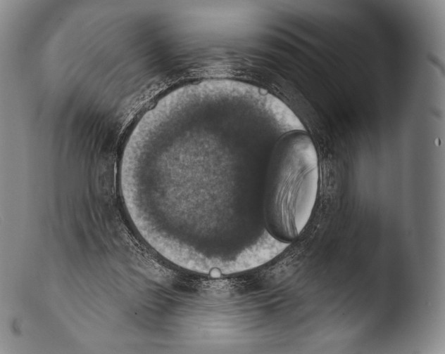 X0000103950301200810311556