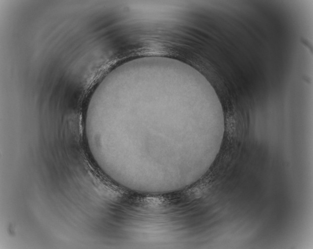 X0000103950302200810311556