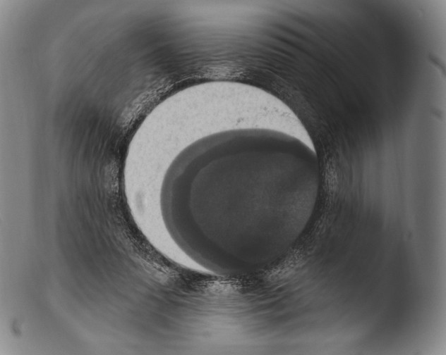 X0000103950303200810311556
