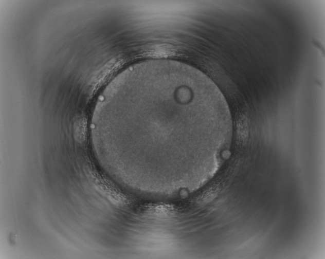 X0000103950304200810311556