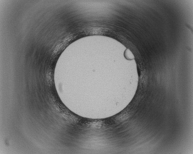 X0000103950306200810311556