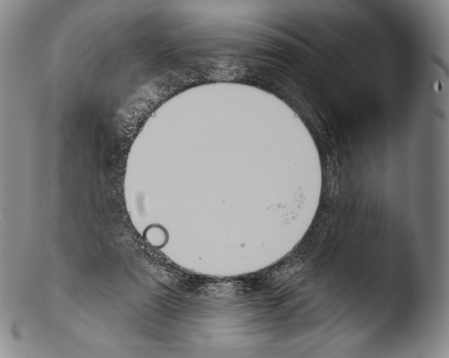 X0000103950307200810311556