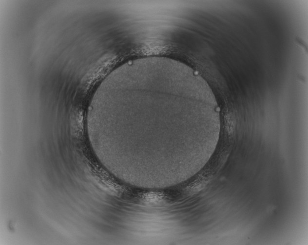 X0000103950308200810311556