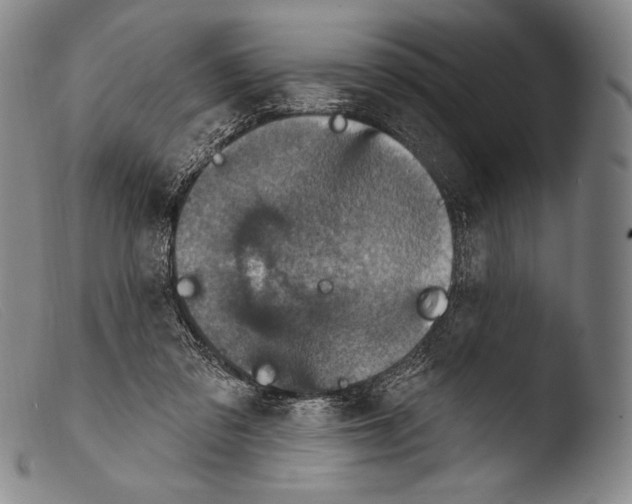X0000103950309200810311556