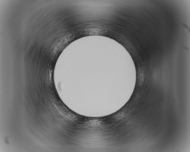 X0000103950310200810311556
