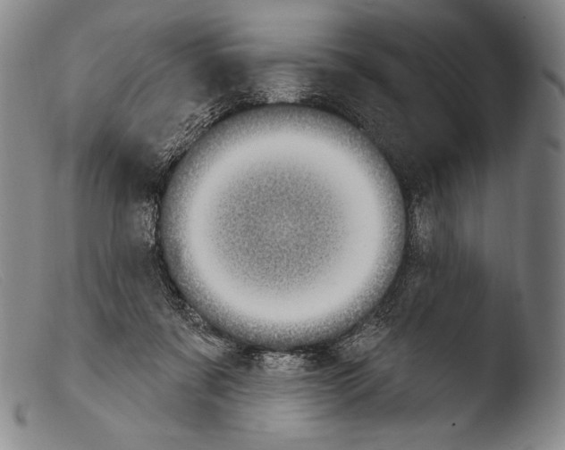 X0000103950311200810311556