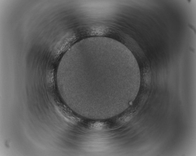 X0000103950312200810311556