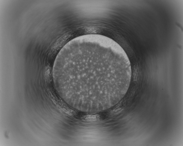 X0000103950314200810311556