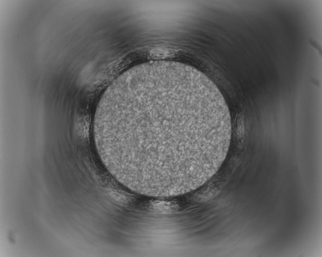 X0000103950315200810311556