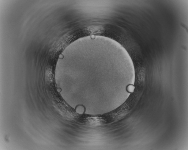 X0000103950316200810311556