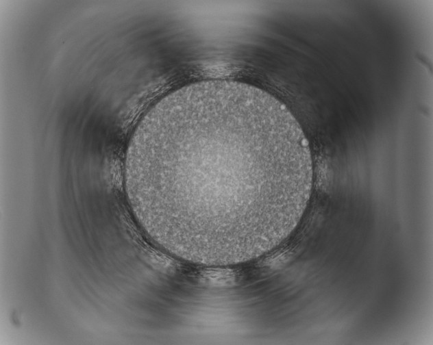 X0000103950317200810311556