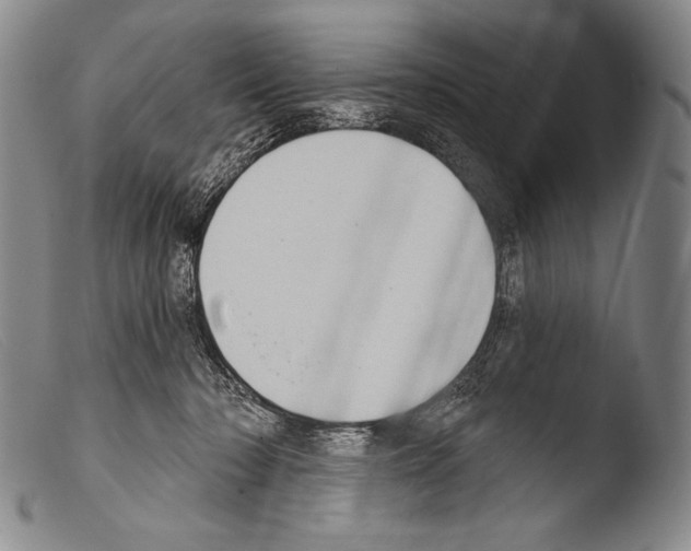 X0000103950318200810311556