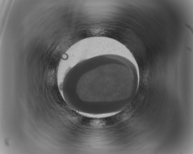 X0000103950319200810311556