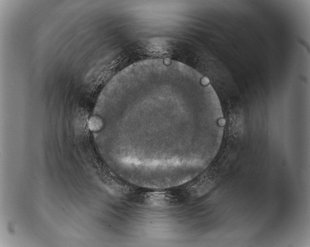 X0000103950320200810311556