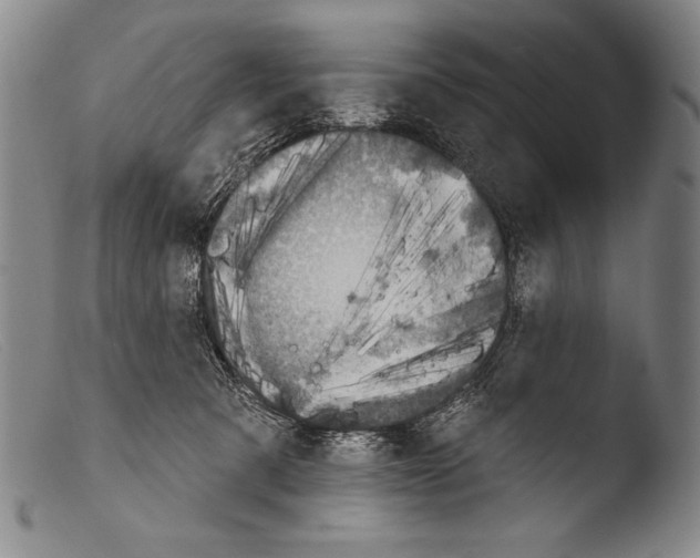 X0000103950321200810311556