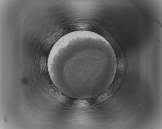 X0000103950322200810311556