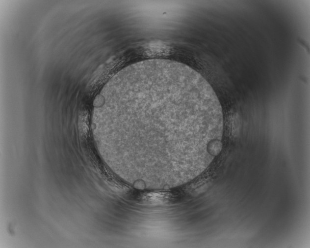 X0000103950323200810311556