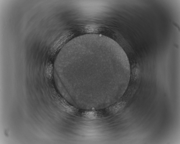 X0000103950325200810311556