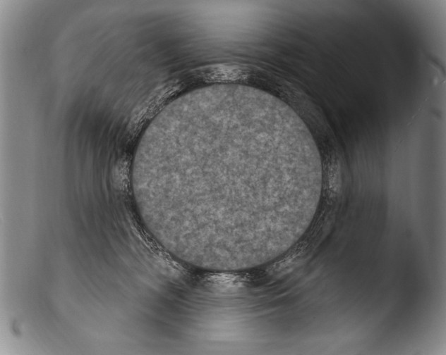 X0000103950326200810311556