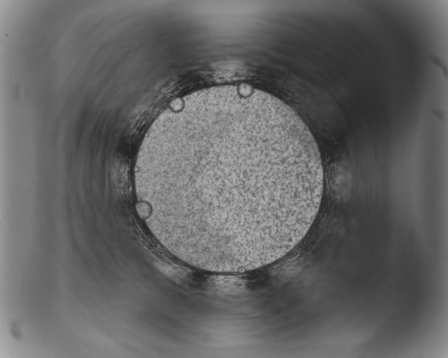 X0000103950327200810311556