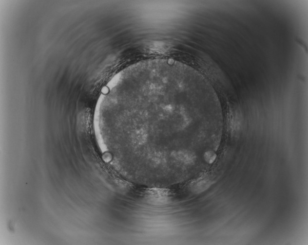 X0000103950328200810311556