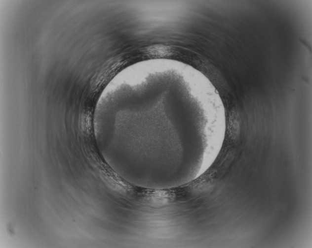 X0000103950330200810311555