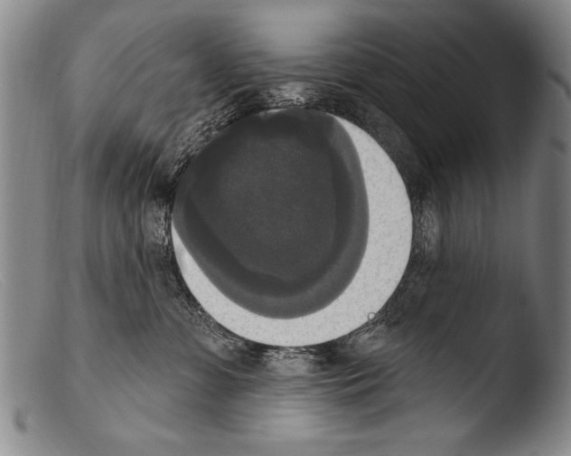 X0000103950331200810311555