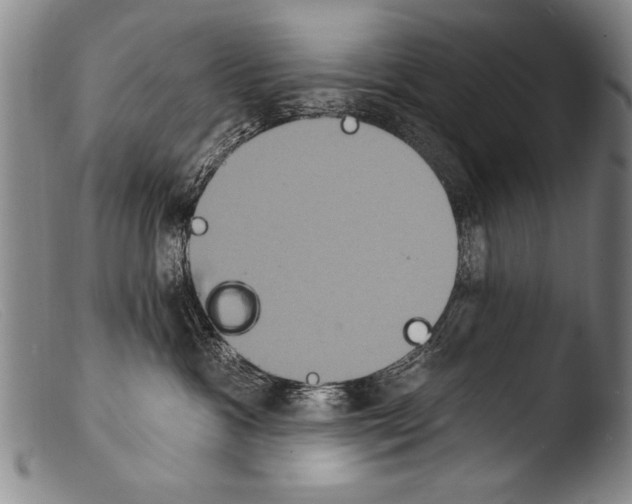 X0000103950333200810311555