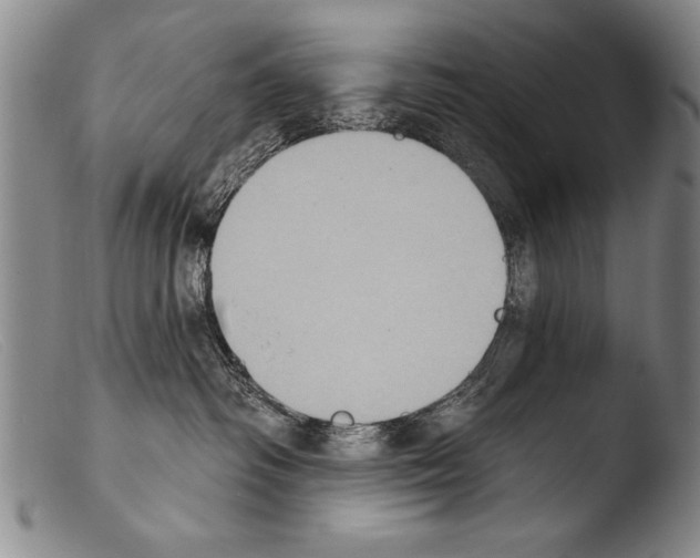 X0000103950334200810311555