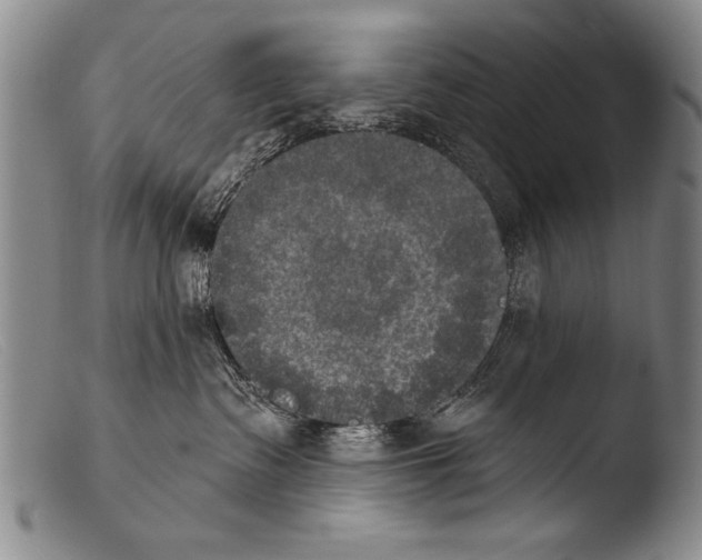 X0000103950335200810311555