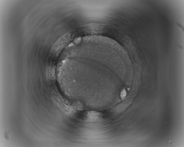 X0000103950336200810311555
