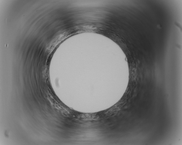 X0000103950338200810311554