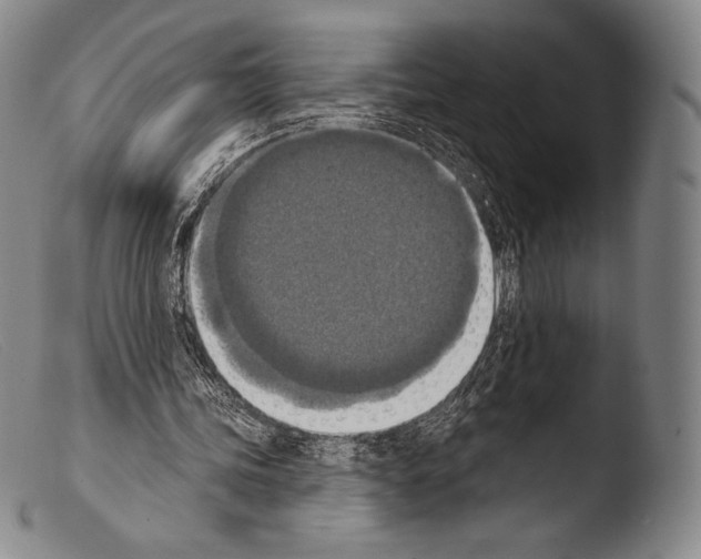 X0000103950339200810311555