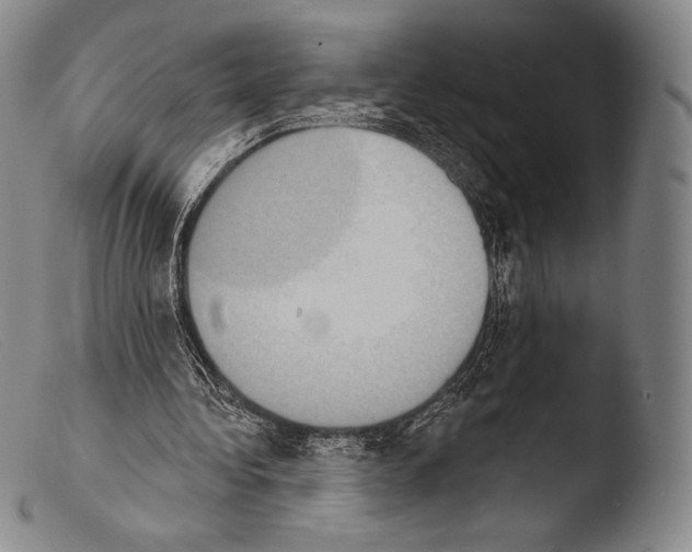X0000103950340200810311555