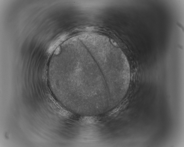 X0000103950341200810311555