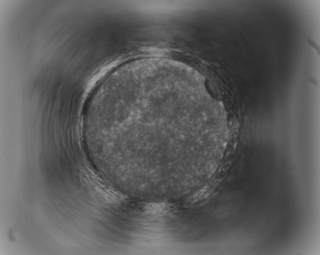 X0000103950342200810311555