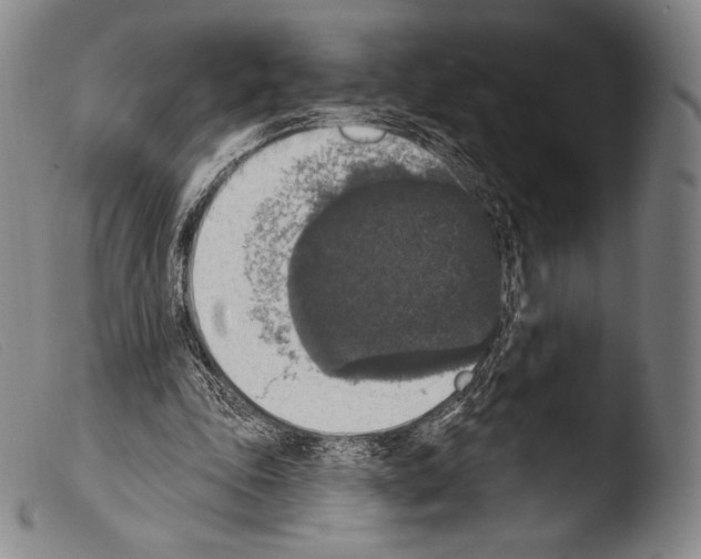 X0000103950343200810311555