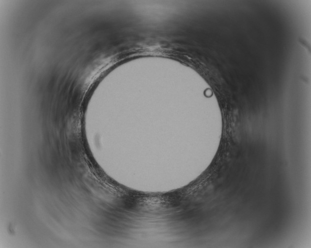 X0000103950344200810311555
