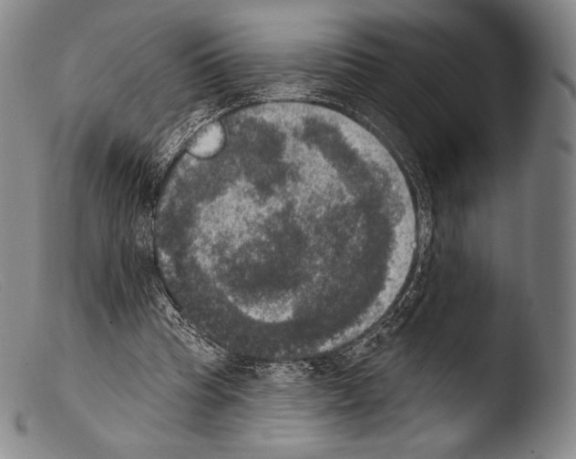 X0000103950345200810311555