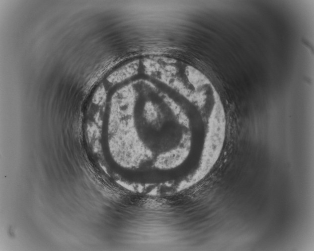 X0000103950346200810311555