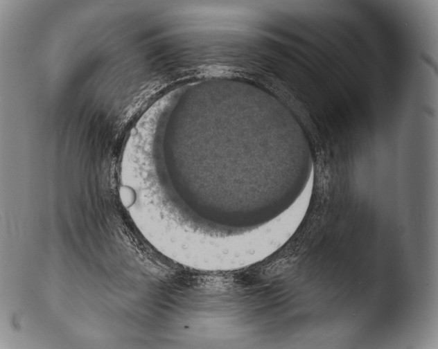 X0000103950347200810311555
