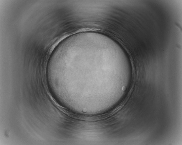 X0000103950348200810311555