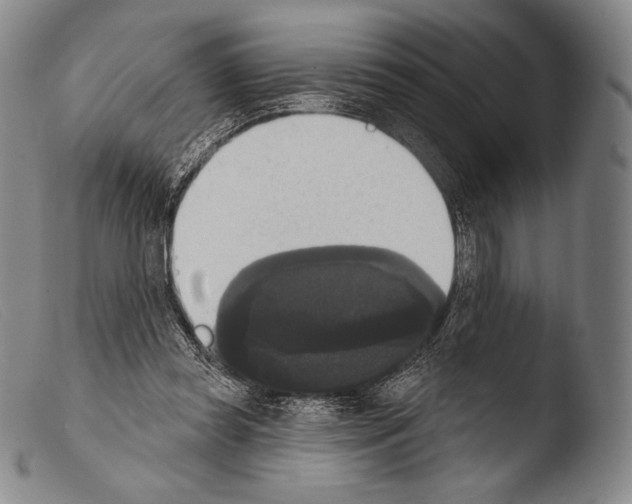 X0000103950349200810311555