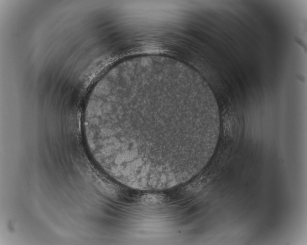 X0000103950350200810311555
