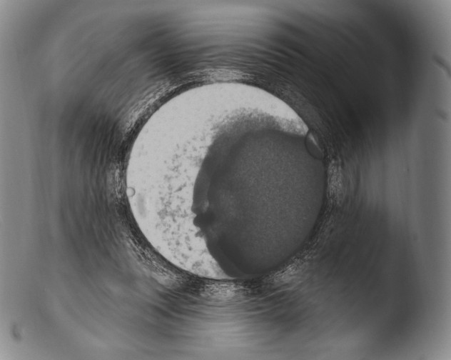 X0000103950351200810311555