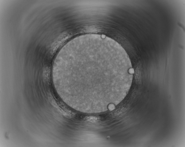 X0000103950352200810311555