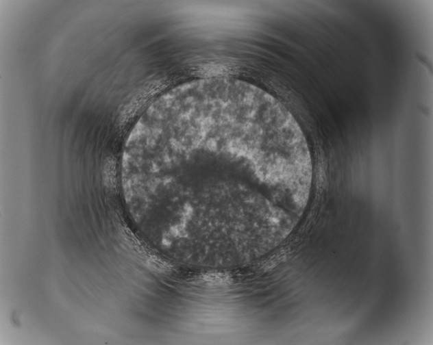 X0000103950353200810311555