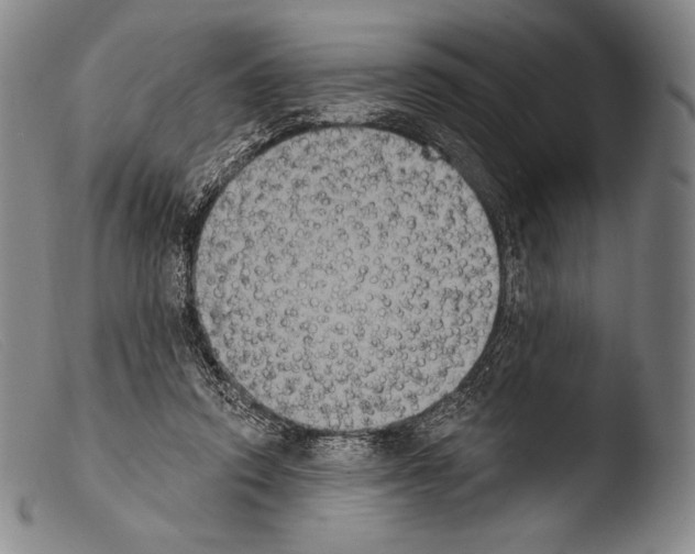 X0000103950354200810311555