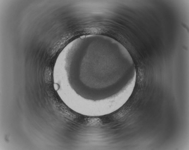 X0000103950355200810311555