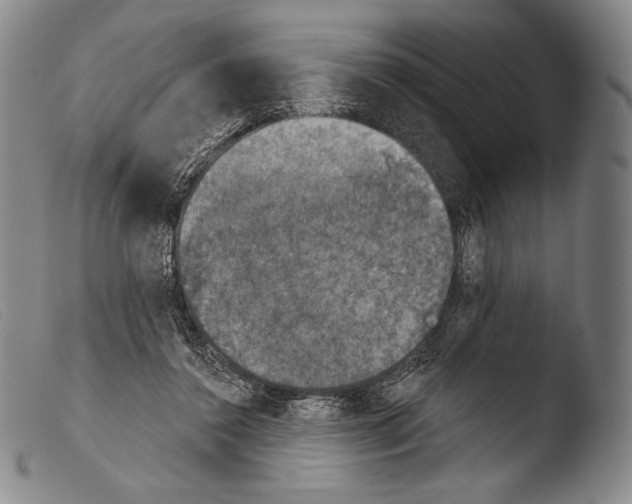 X0000103950356200810311555